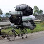 Charcoal Production in Congo