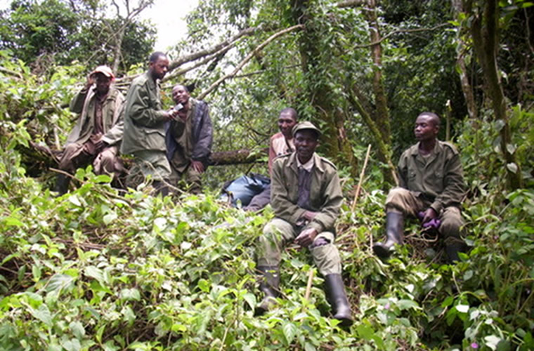 Mount Tshiaberimu