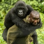 Virunga Park Ranger